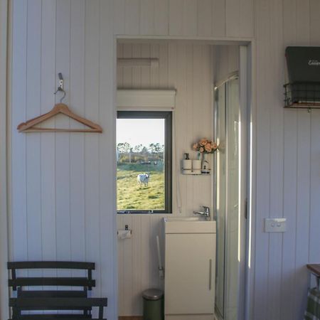 Taranaki Creekside Kea By Tiny Away Villa Stratford Exterior photo