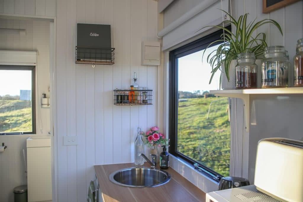 Taranaki Creekside Kea By Tiny Away Villa Stratford Exterior photo