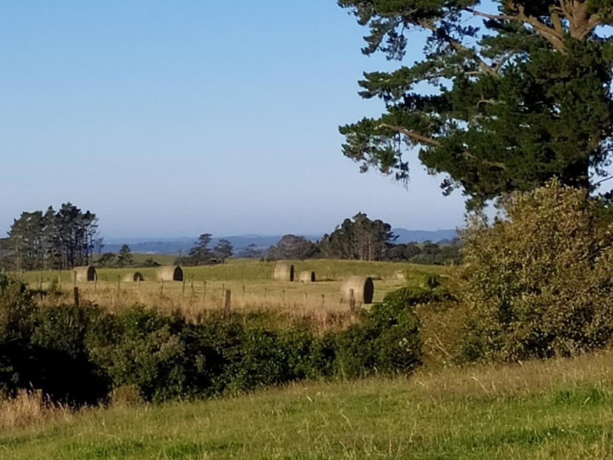 Taranaki Creekside Kea By Tiny Away Villa Stratford Exterior photo