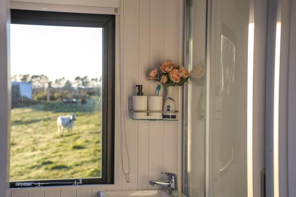 Taranaki Creekside Kea By Tiny Away Villa Stratford Exterior photo