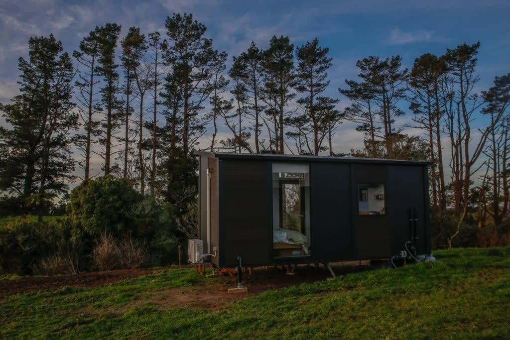 Taranaki Creekside Kea By Tiny Away Villa Stratford Exterior photo