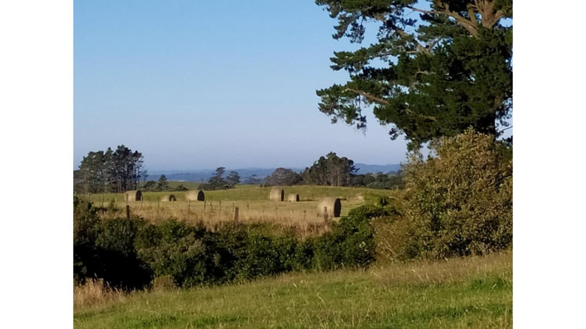 Taranaki Creekside Kea By Tiny Away Villa Stratford Exterior photo